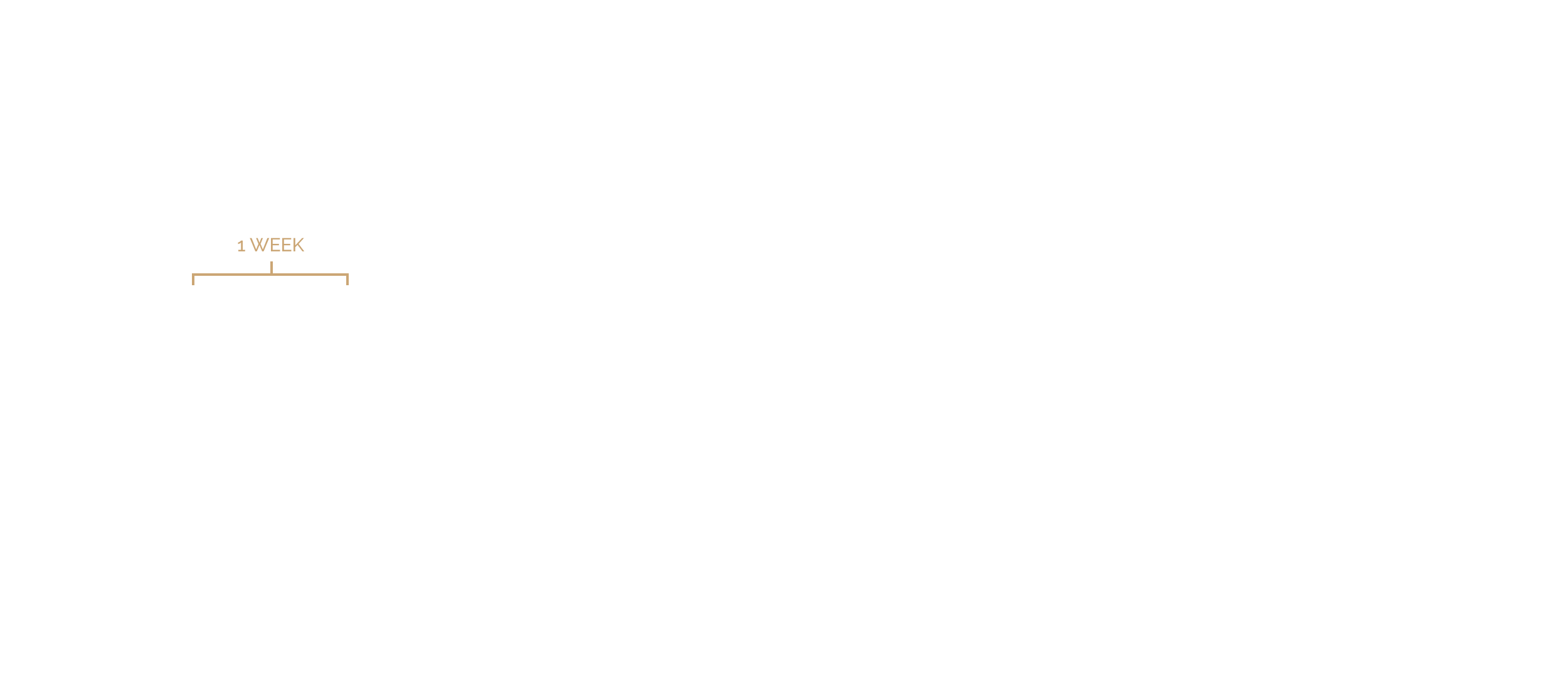 Project timeline