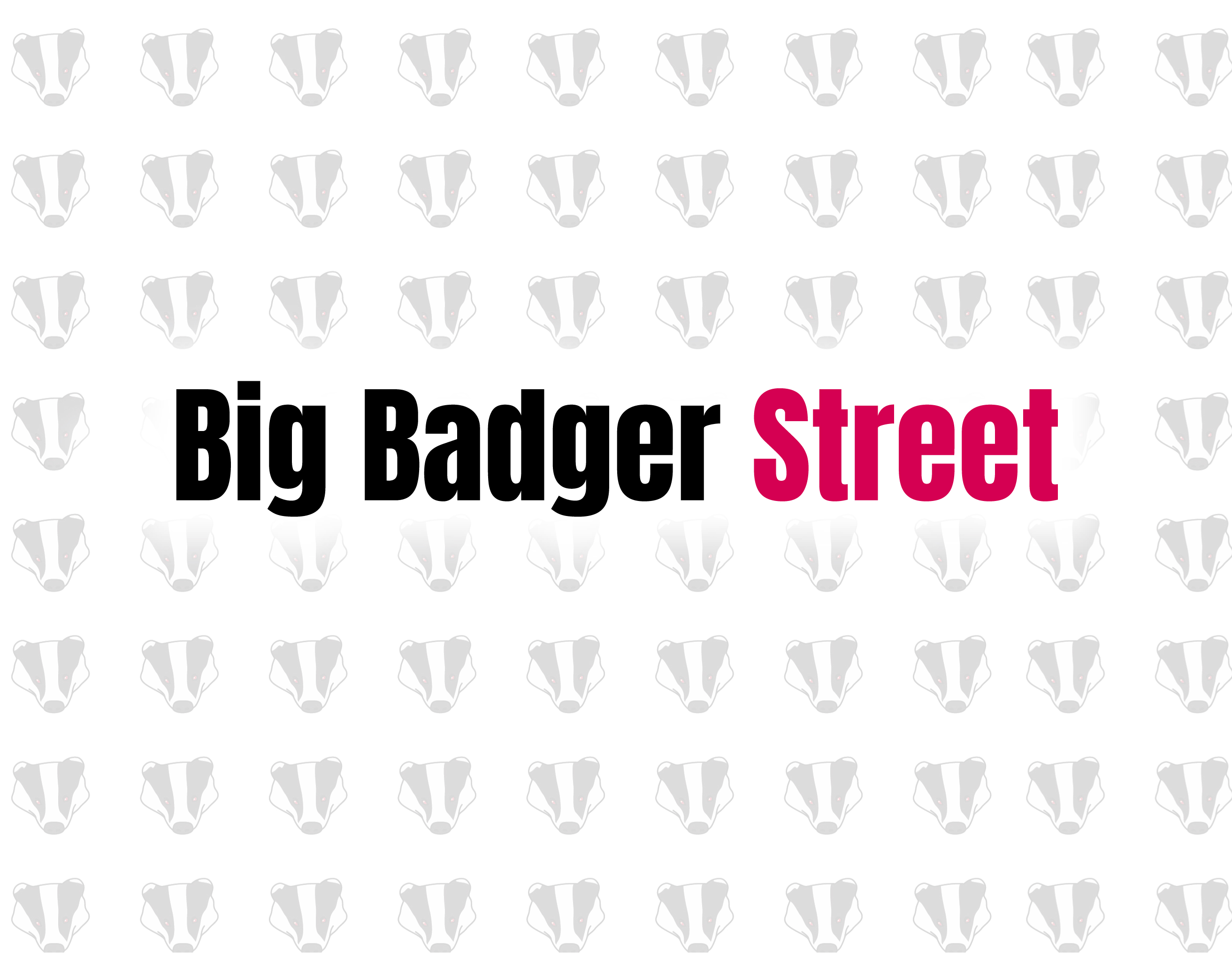 Big Badger Street
