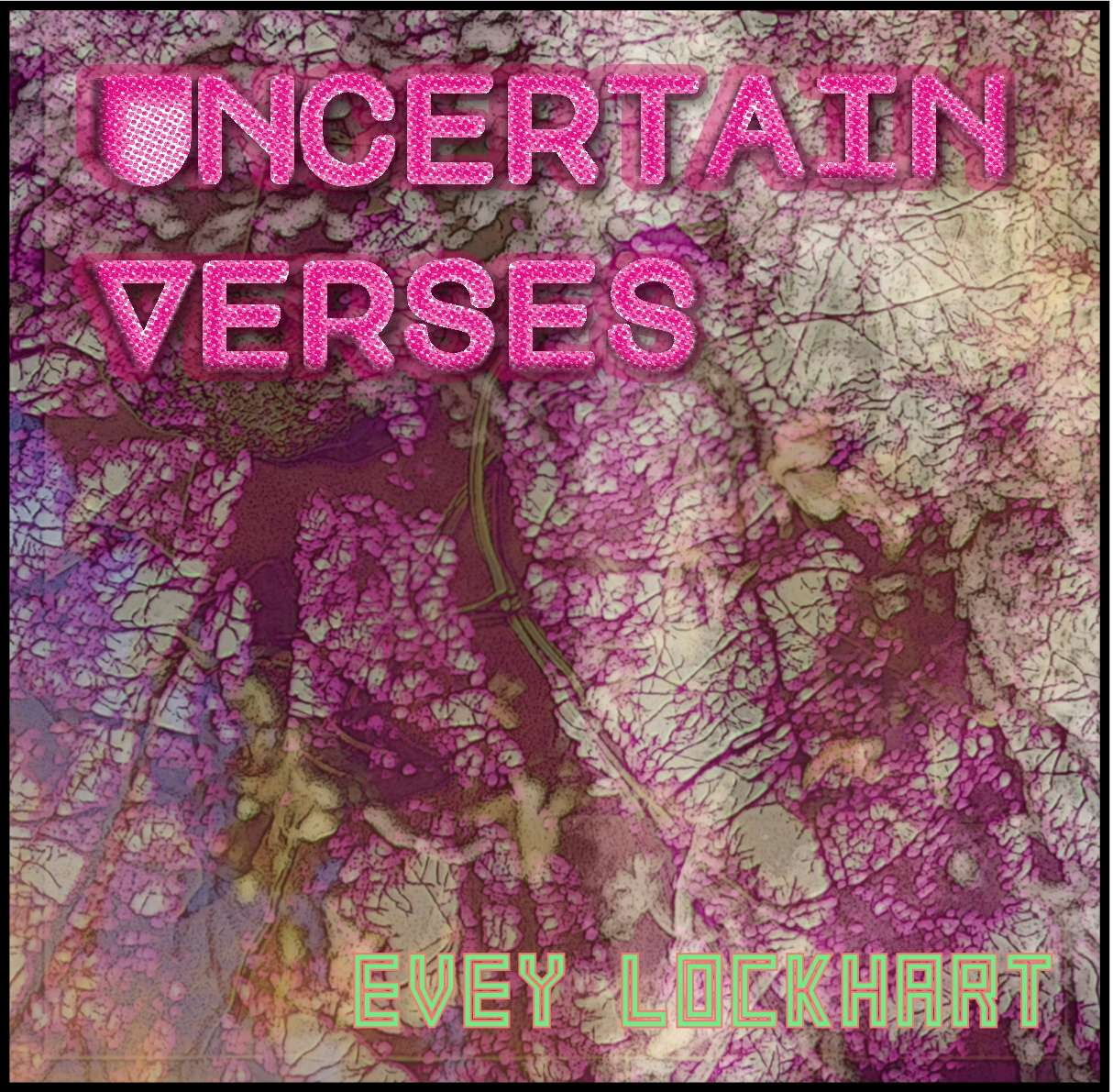 Cover image for Uncertain Verses