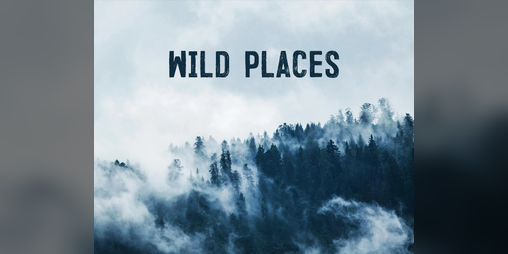 Cover image for Wild Places
