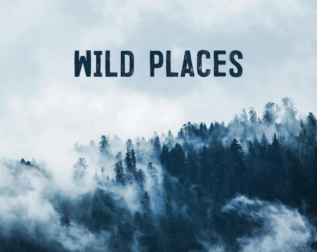 Cover image for Wild Places