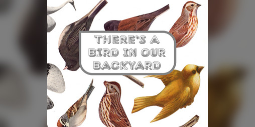 Cover image for There's A Bird In Our Backyard