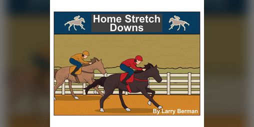 Cover image for Horse Racing