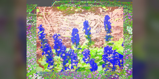Cover image for wet grass