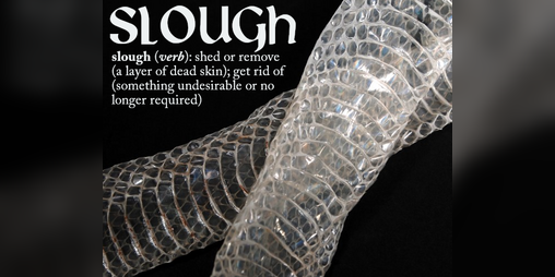 Cover image for slough