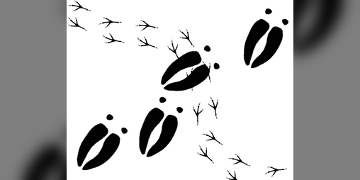 Cover image for Step Into This Quiet Forest [Demo Playable In-Browser]