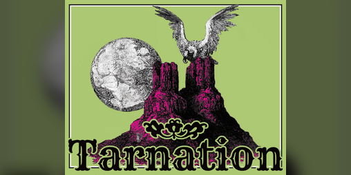 Cover image for Tarnation
