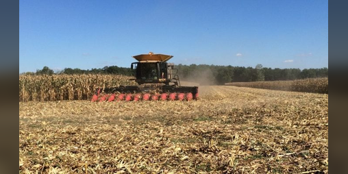 Cover image for Harrison Farms