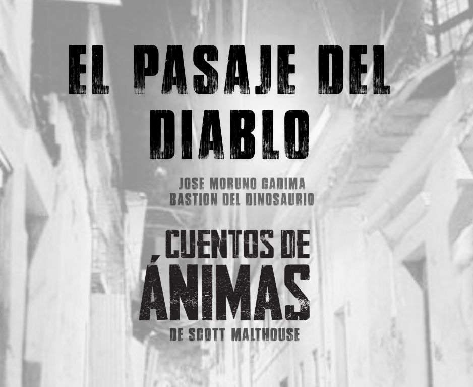 Cover image for El pasaje del Diablo