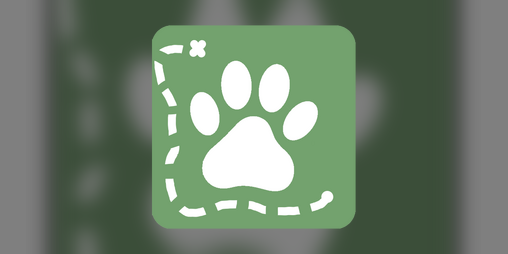 Cover image for Paws & Progress