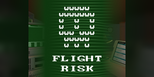 Cover image for Flight Risk