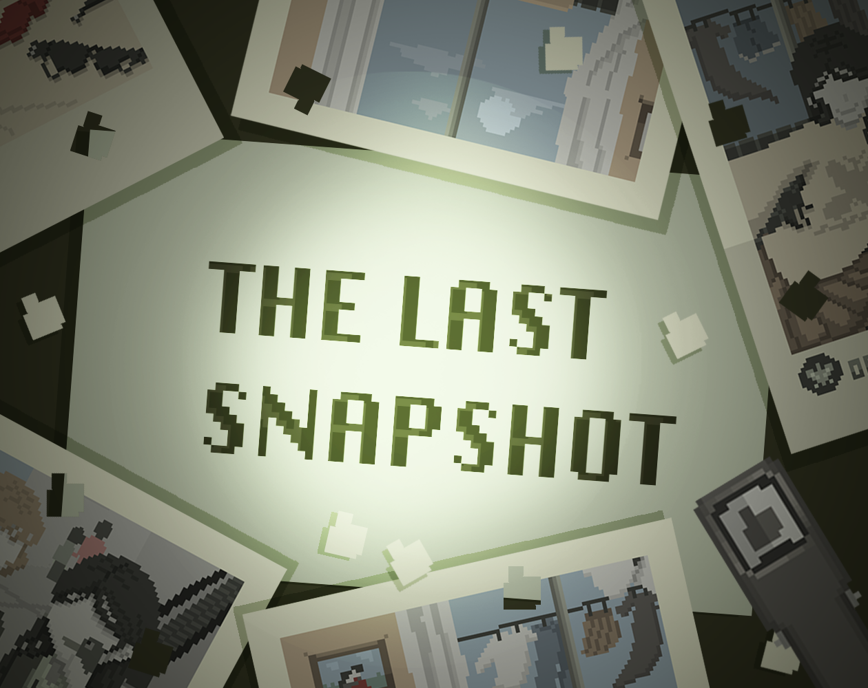 The Last Snapshot