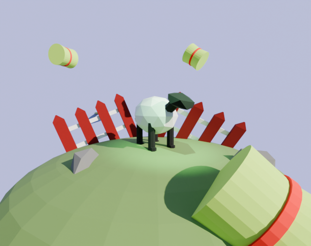 Cover image for Sheepfiy
