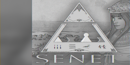 Cover image for Senet: Households