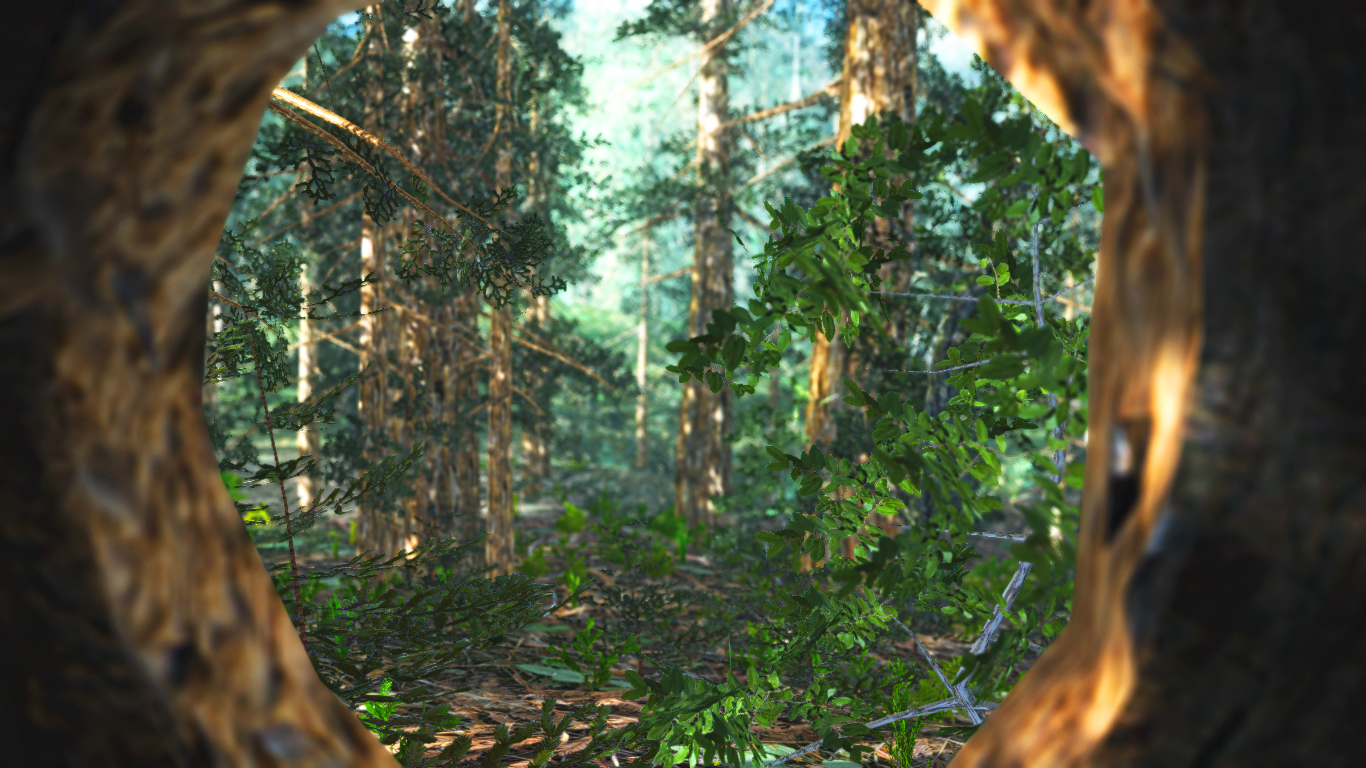 Don't Go Into the Woods