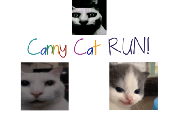 Canny Cat Run