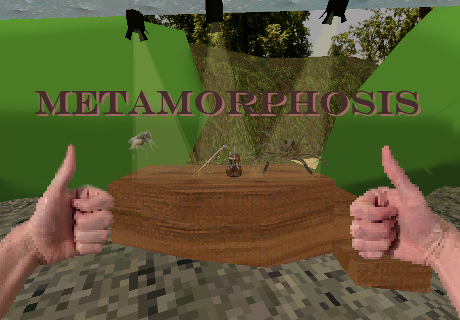 Cover image for Metamorphosis