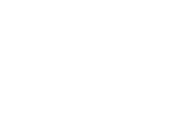 The wheel