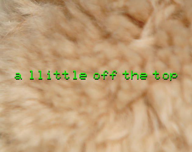 Cover image for A LLITTLE OFF THE TOP
