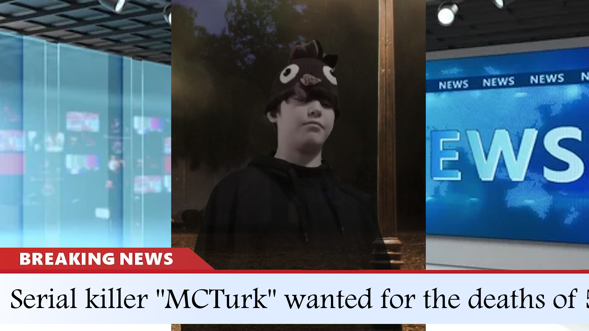 The MCTurk