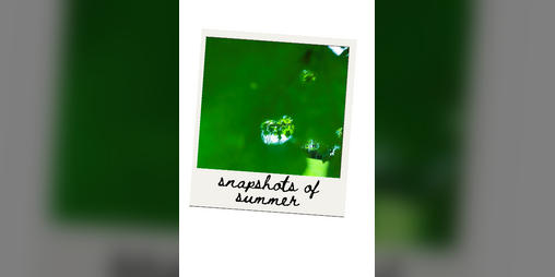 Cover image for Snapshots of Summer