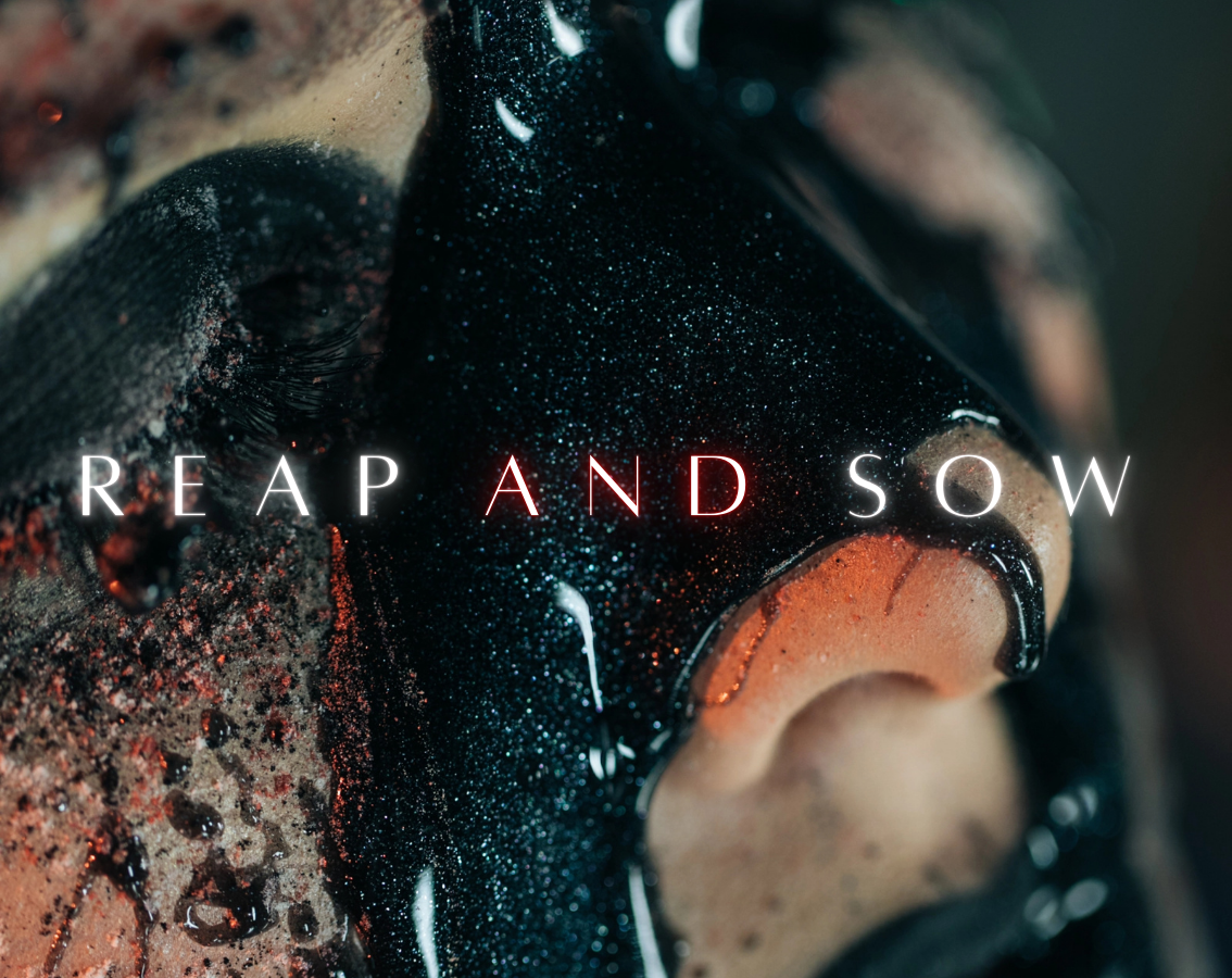 Cover image for Reap and Sow