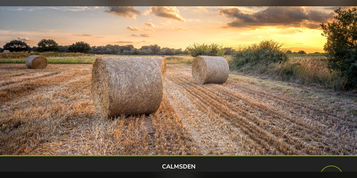 Cover image for Calmsden AutoDrive