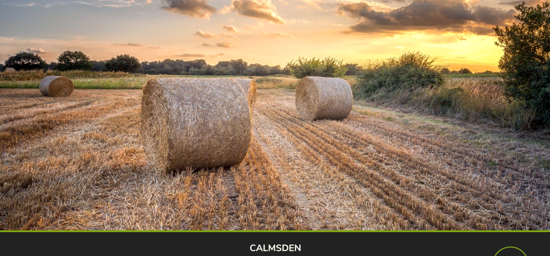 Calmsden AutoDrive