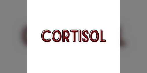 Cover image for CORTISOL