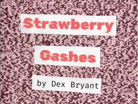 Cover image for Strawberry Gashes