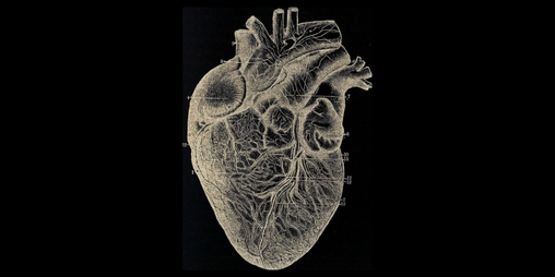 Cover image for Vigour