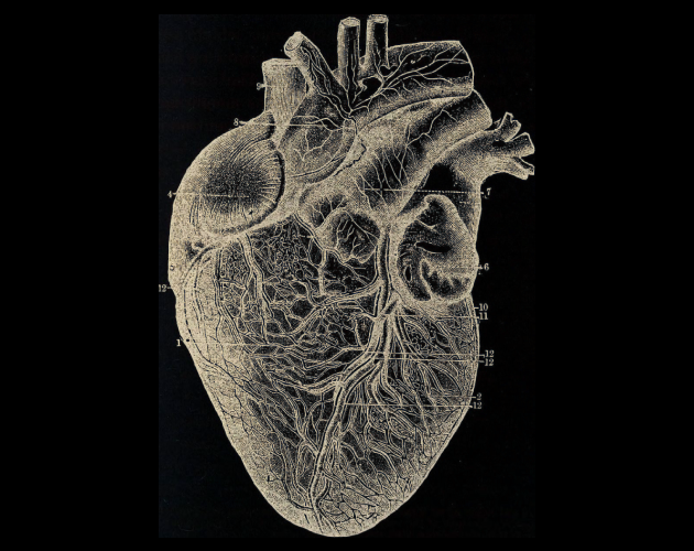 Cover image for Vigour