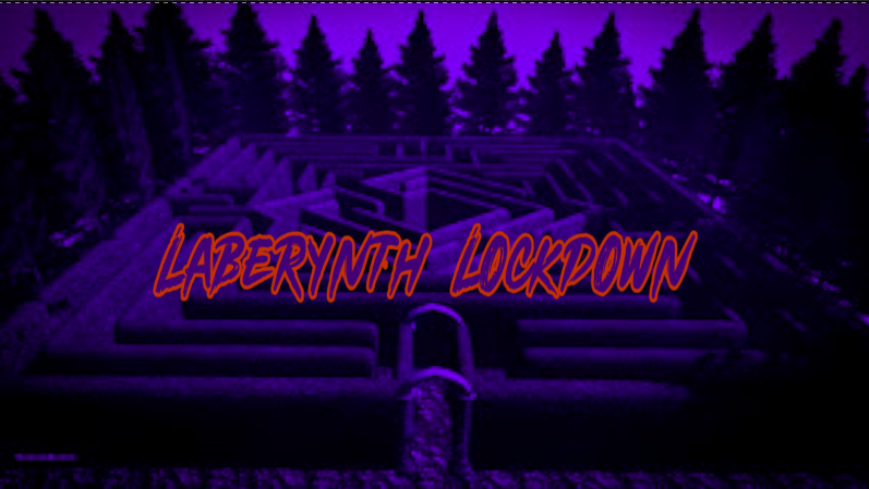 Cover image for Laberynth Lockdown