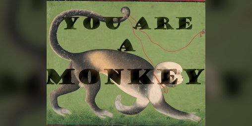 Cover image for You Are A Monkey 36 Word Jam