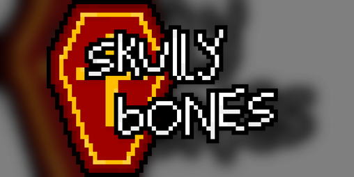 Cover image for Skully Bones