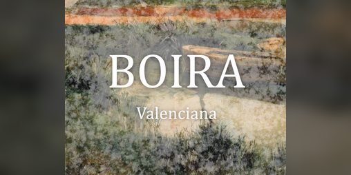 Cover image for BOIRA - aventura en l'Albufera
