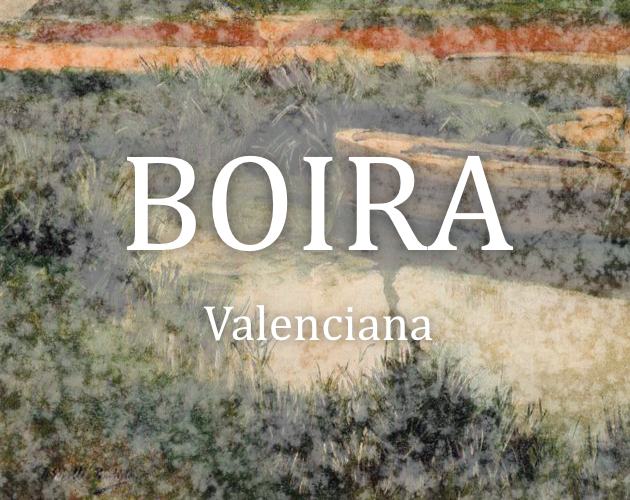 Cover image for BOIRA - aventura en l'Albufera
