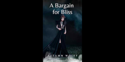 Cover image for A Bargain for Bliss