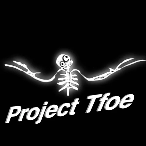 PROJECT TFOE