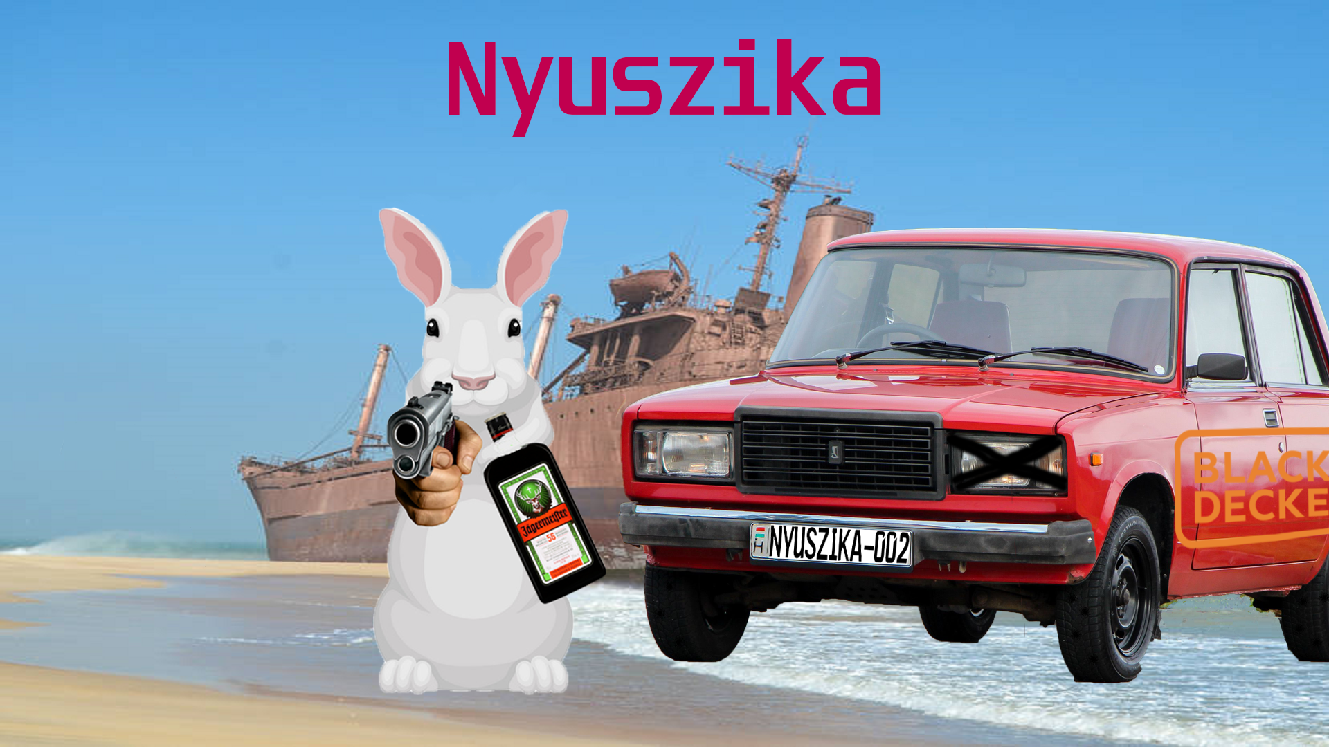 Cover image for Nyuszika