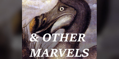 Cover image for The Dodo & Other Marvels