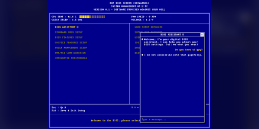 Cover image for BIOS SCREEN: Provided for your convenience