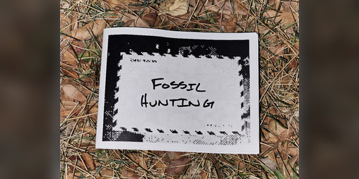 Cover image for Fossil Hunting