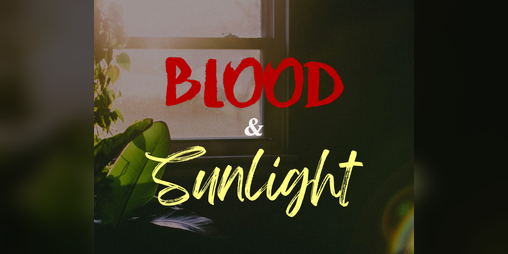 Cover image for Blood and Sunlight