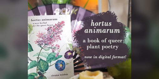 Cover image for hortus animarum: a new herbal for the queer heart