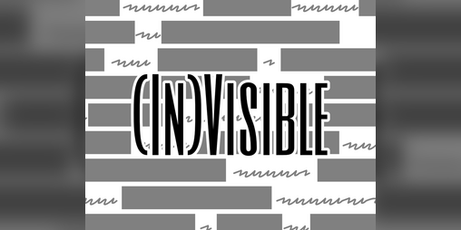 Cover image for (In)Visible