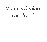 The Door(DEMO)