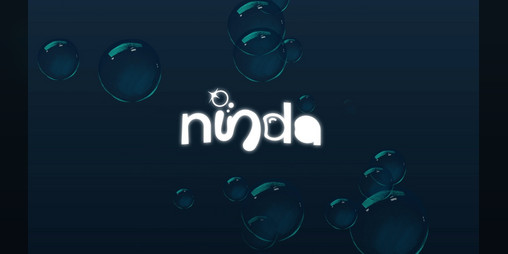 Cover image for NINDA