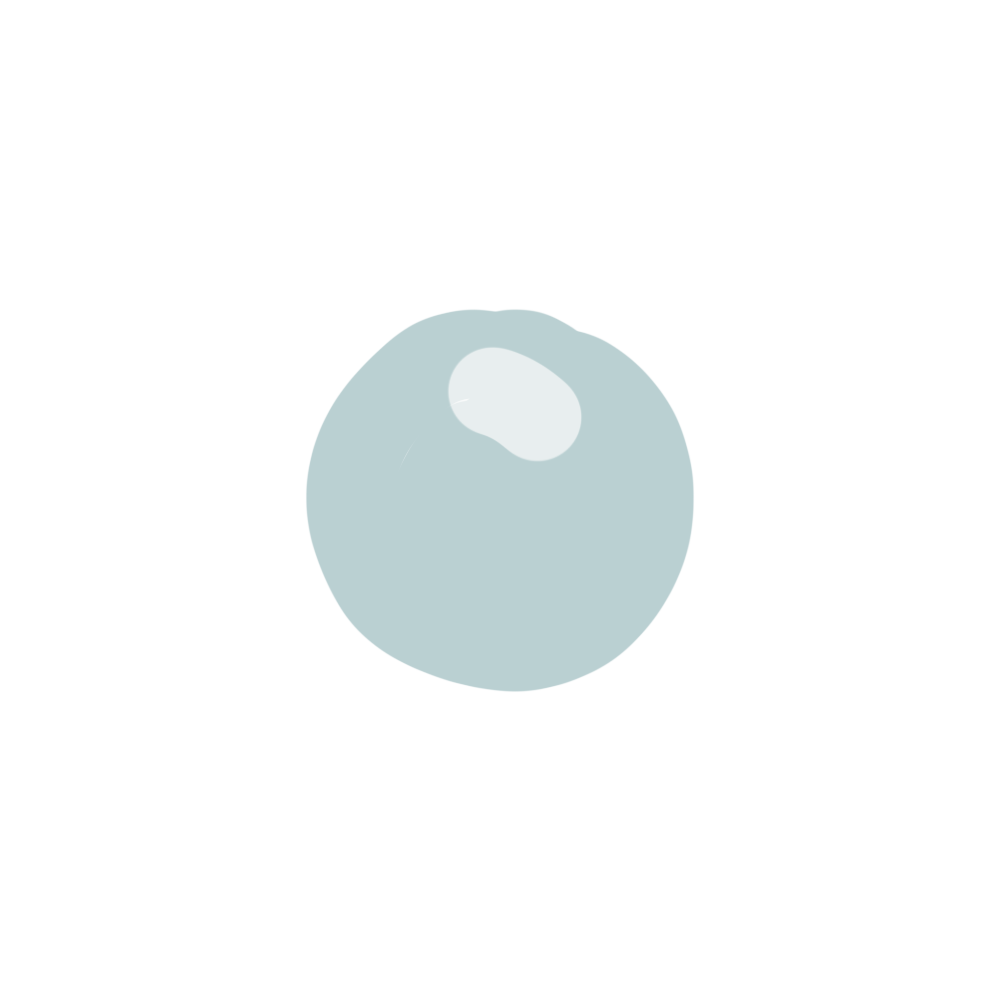 Cover image for Bobable