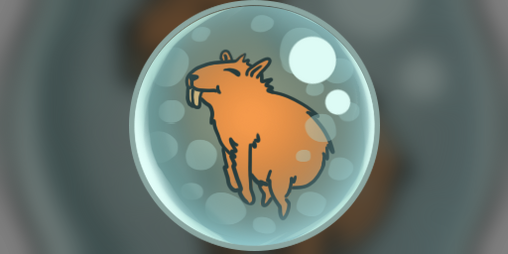 Cover image for Capy Bubble